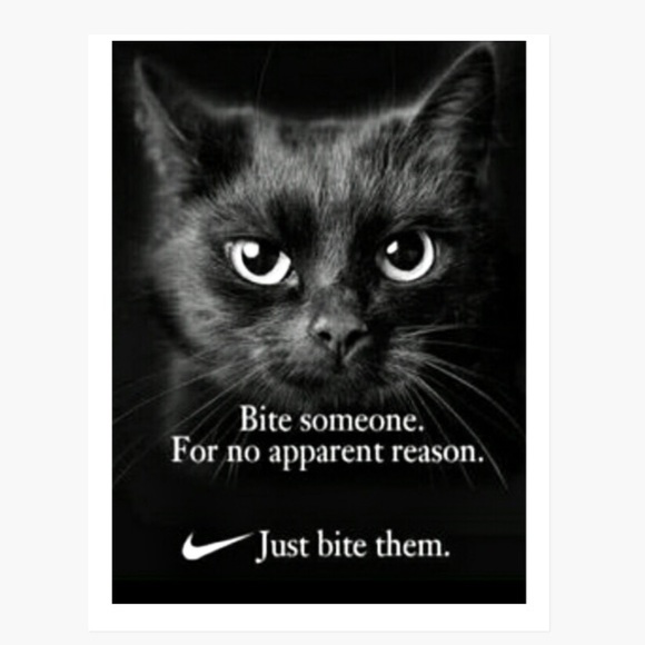 Brand New! Animal Bundle set of three 8.5x11 Ultra Glossy Wall/Locker Posters!😃 - Picture 5 of 8